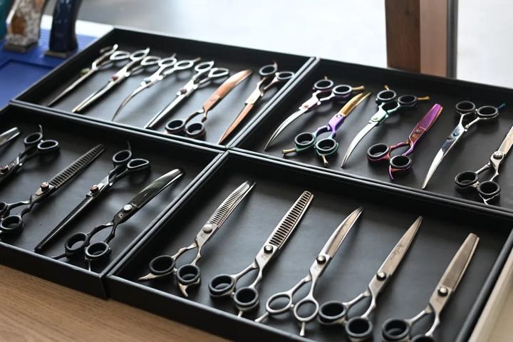 Trays of grooming scissors, curved shears and thinning shears