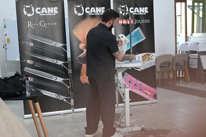 Groomer working on a white Maltese on a grooming table in front of seminar banners